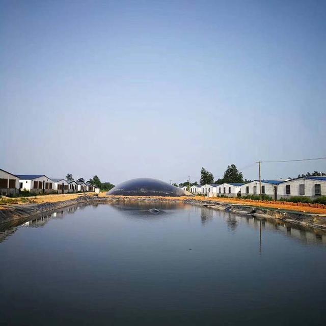 養(yǎng)殖場(chǎng)沼氣池.jpeg