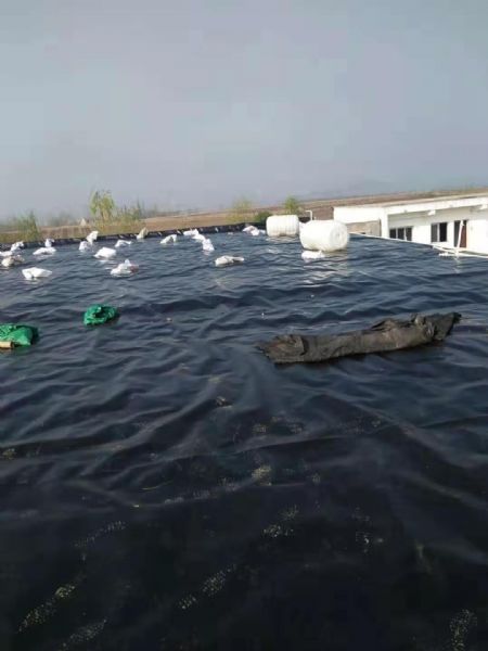 土工膜房頂防滲施工