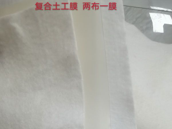 復(fù)合土工膜(兩布一膜)