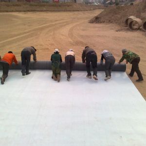 膨潤(rùn)土防水毯